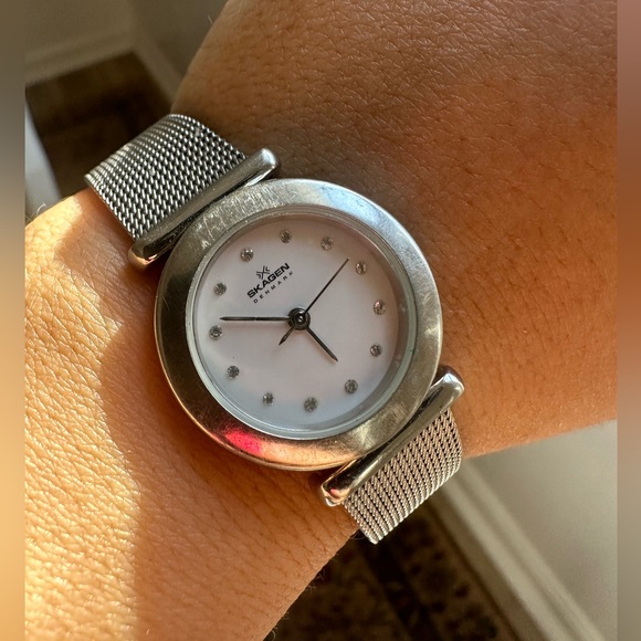 Skagen Other - Skagen Denmark 🇩🇰 Women's Silver Mesh Watch